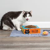 Make Your Own Pet Dish