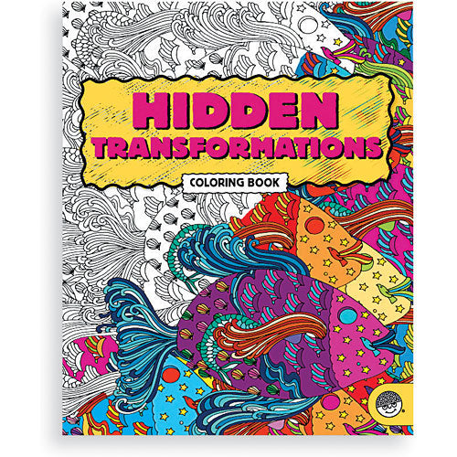 Hidden Transformations Activity Bk