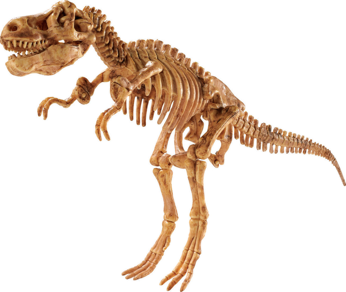 Dig It Up! Tyrannosaurus Rex