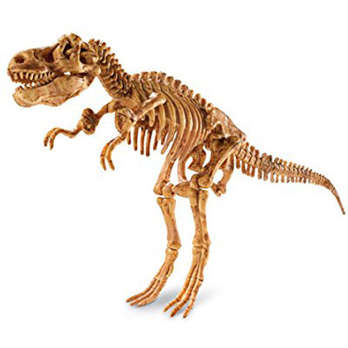 Dig It Up! Tyrannosaurus Rex