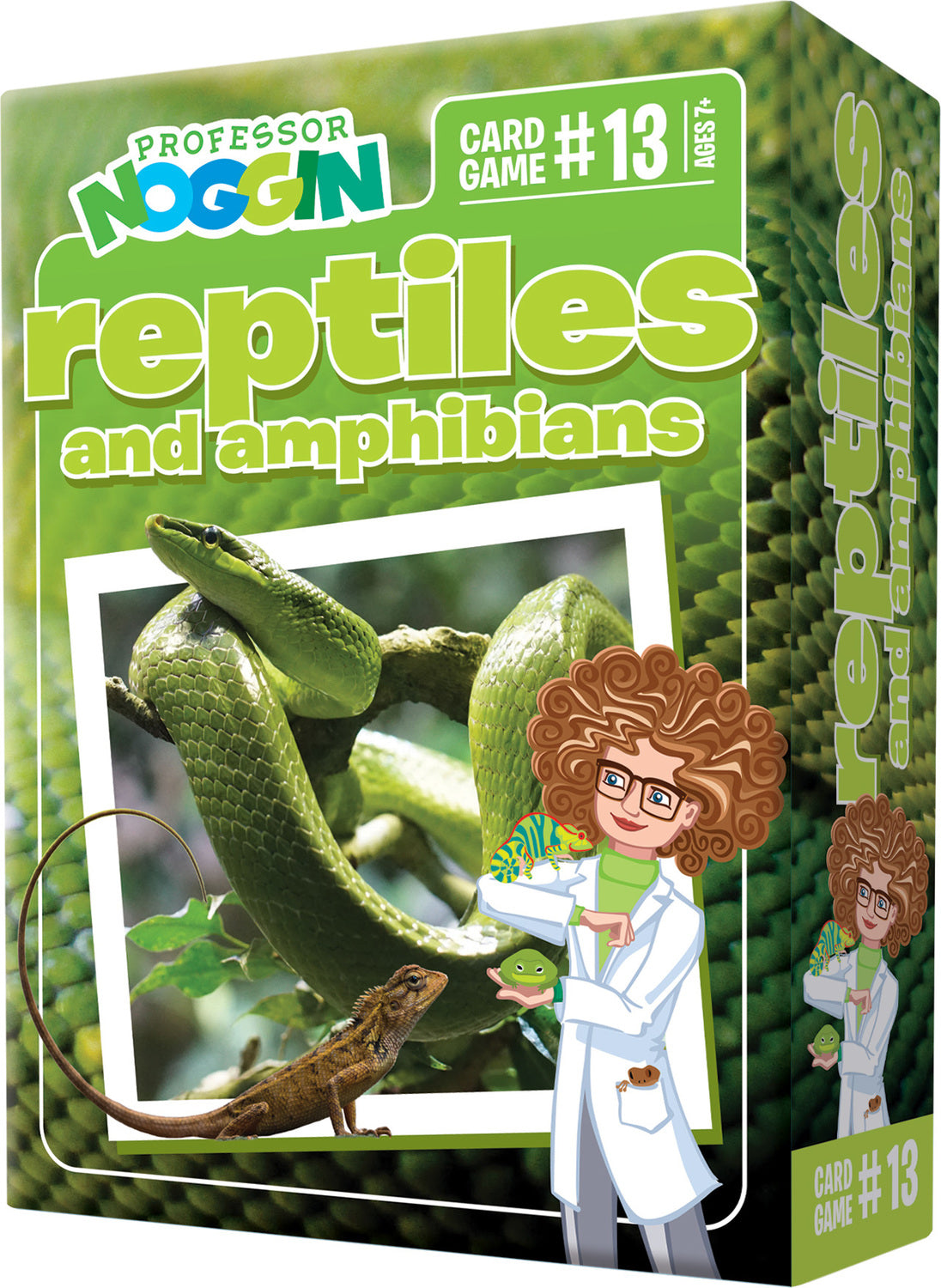 Prof. Noggin Reptiles And Amphibians
