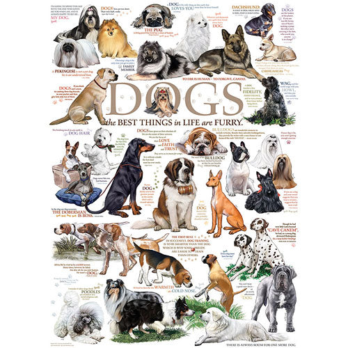 Dog Quotes