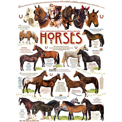 Horse Quotes
