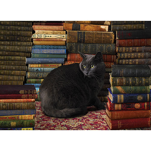 Library Cat