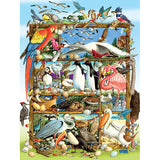 Birds of the World