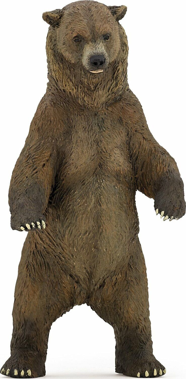 Grizzly Bear