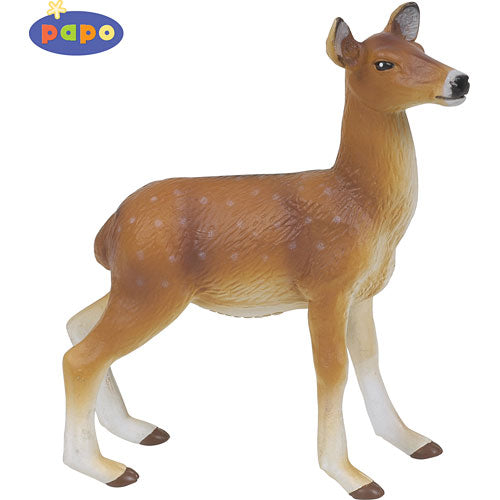 Doe