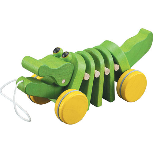 Dancing Alligator