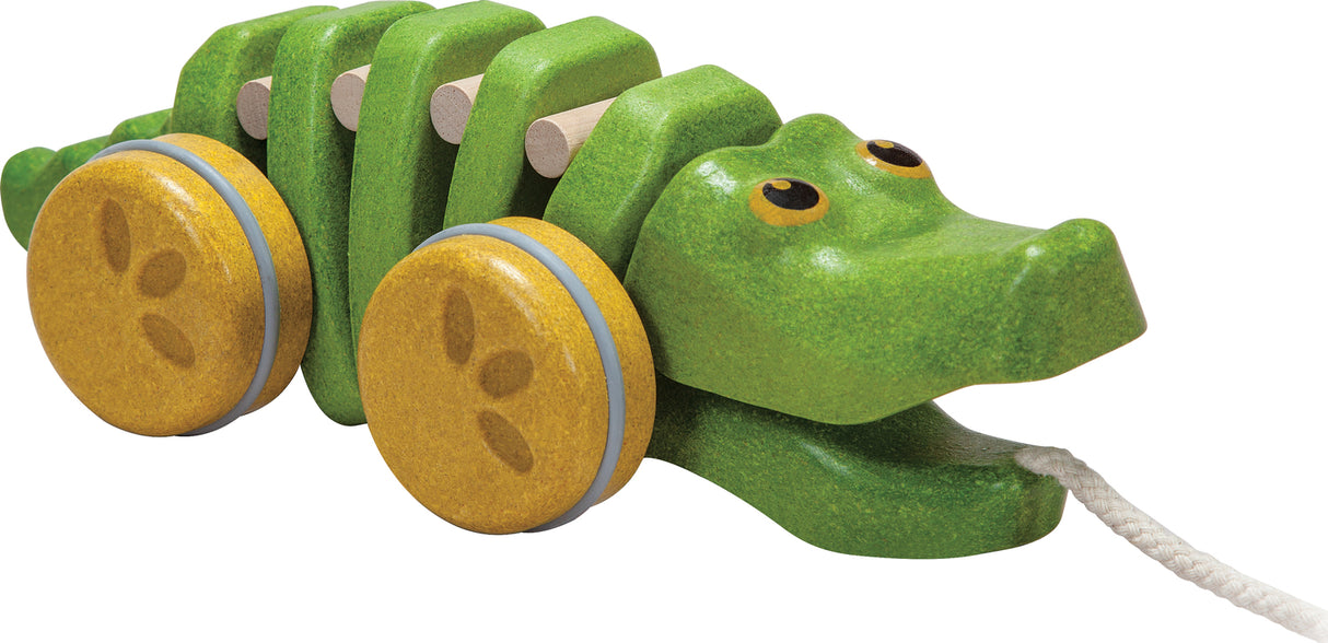 Dancing Alligator