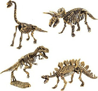 Paleo Puzzlers