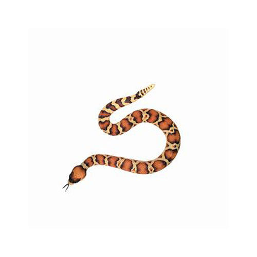 RATTLESNAKE SQUIRTS