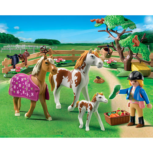 Playmobil Paddock With Horses and Foal