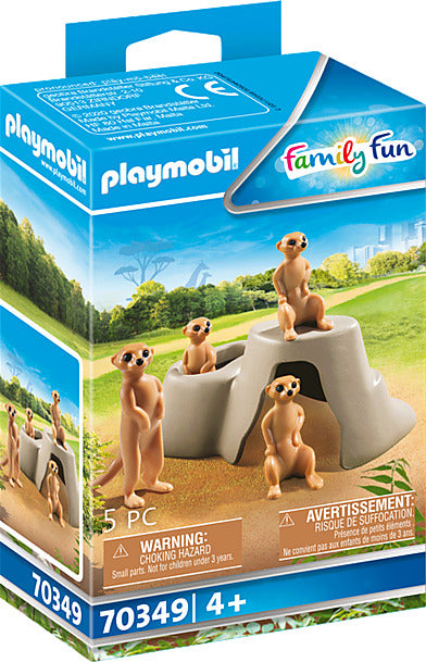Meerkat Colony