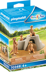 Meerkat Colony