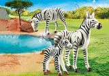 Zebras With Foal