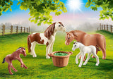 Ponies with Foals