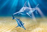 Playmobil - Swordfish w - Baby