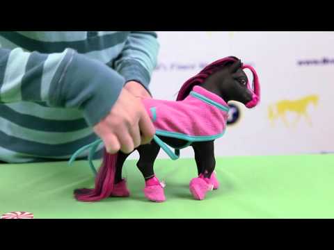 Jasmine Color Surprise