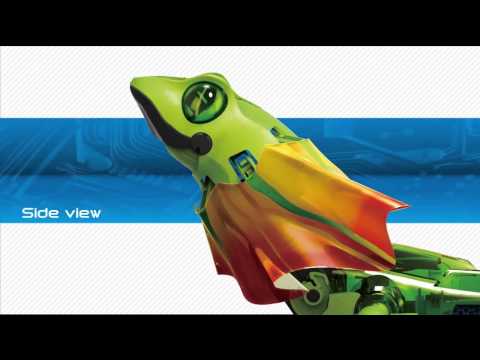 Kingii Dragon Robot Kit