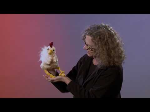 Funky Chicken