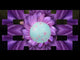 Flower Power