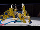 Dodeca 12 in 1: Solar Hydraulic Robot