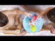 Yookidoo Musical Duck Race
