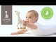 Sophie the Giraffe baby teether toy