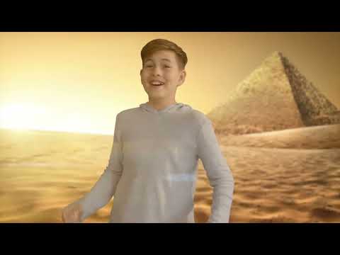 VR Discovery Box - Animals!