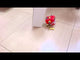 RobotiKits EM4 Motorized Robot Kit
