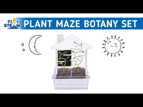 PlaySTEAM Greenhouse Plant Maze Botany Learning Set