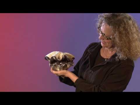 Giant Clam