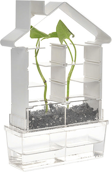 PlaySTEAM Greenhouse Plant Maze Botany Learning Set