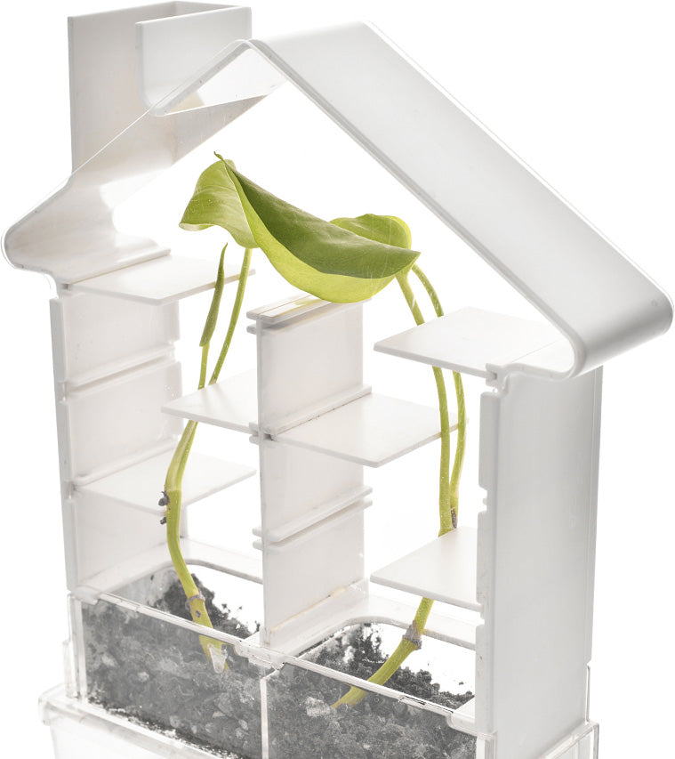 PlaySTEAM Greenhouse Plant Maze Botany Learning Set