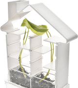PlaySTEAM Greenhouse Plant Maze Botany Learning Set