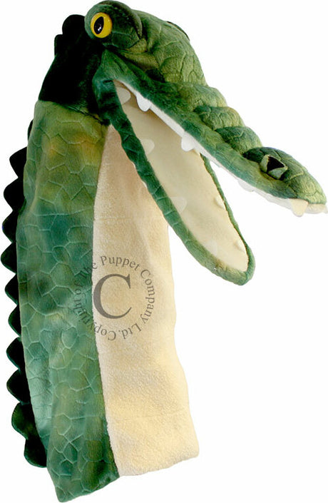 Long Sleeves - Crocodile