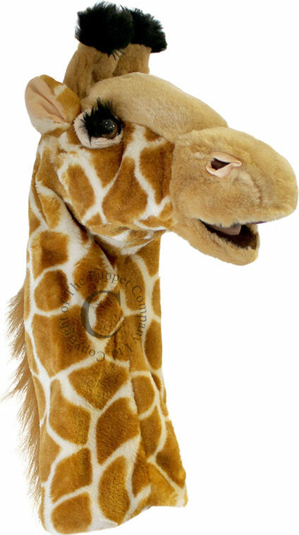 Long Sleeves - Giraffe