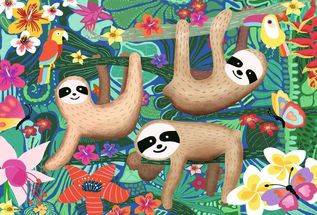 Koalas And Sloths
