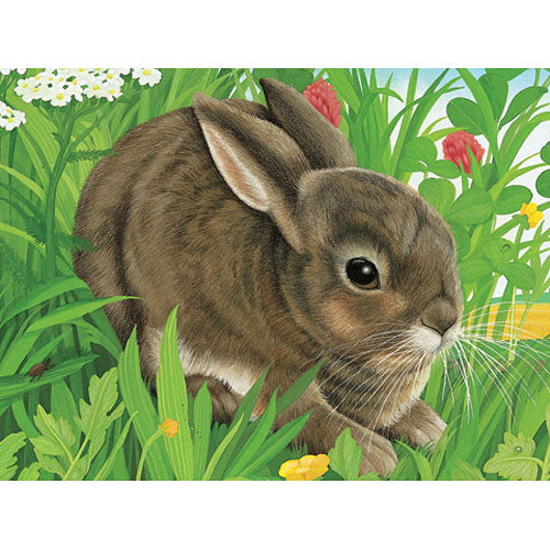 Cube Puzzles Animals