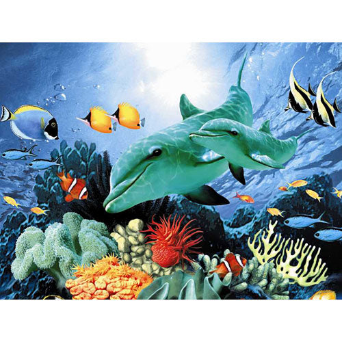dolphin duo  60 pcs