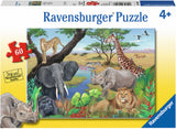 Safari Animals