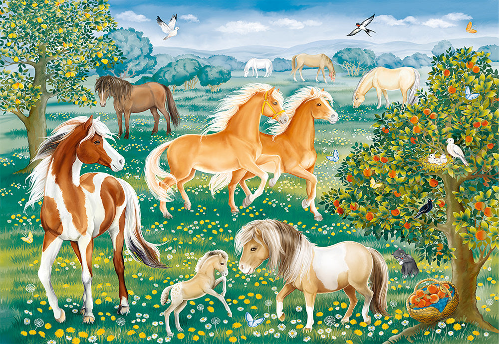 Mustang Meadow