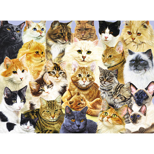 Cat Pride