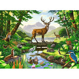 Woodland Harmony
