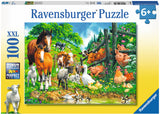 Animal Get Together