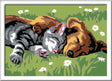 CreArt:Sleeping Cat and Dog 5x7