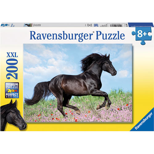 Beautiful Horse
