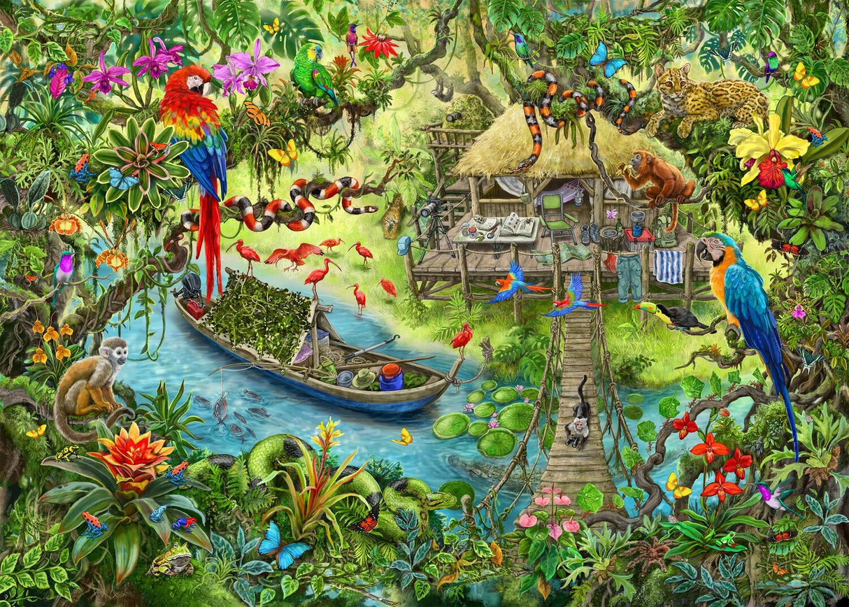 Jungle Journey