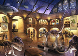 Museum Mysteries