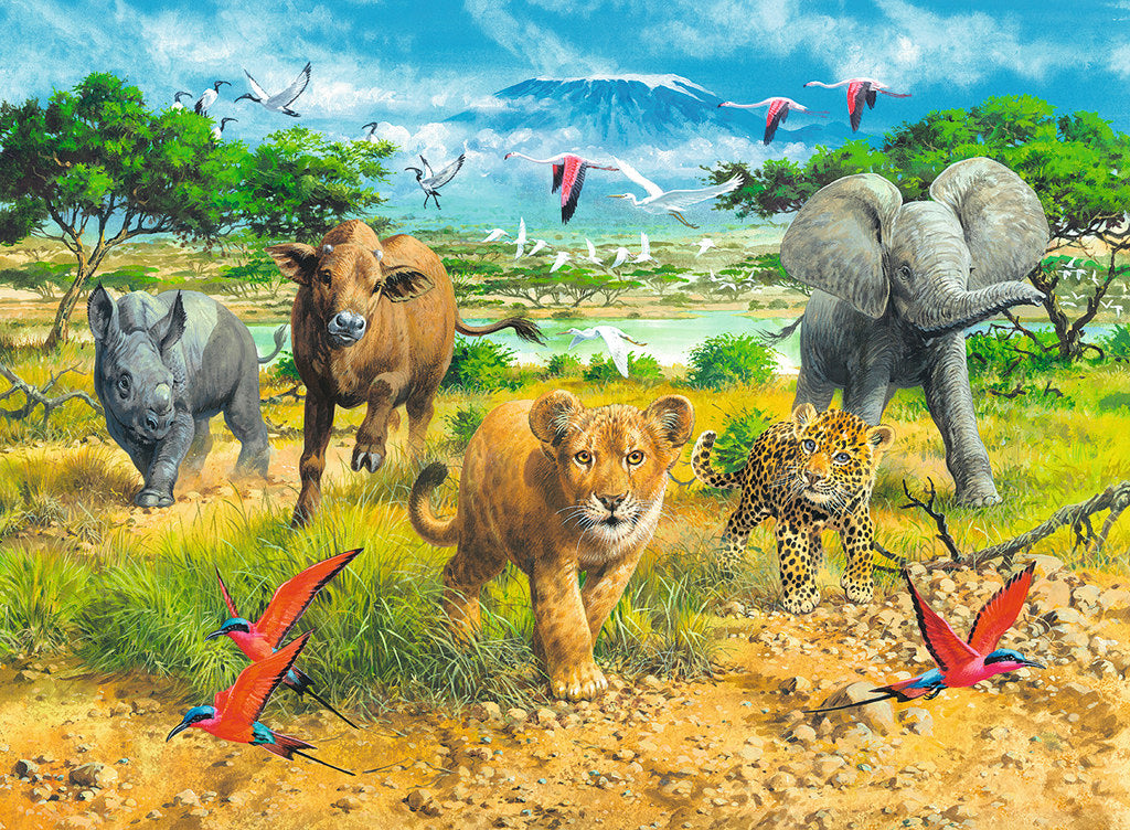 African Animal Babies